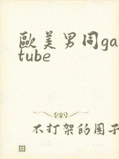 欧美男同gaytube