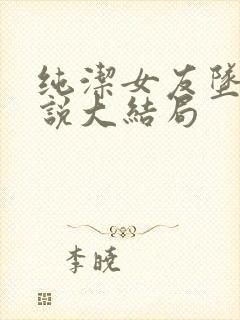 纯洁女友坠落小说大结局