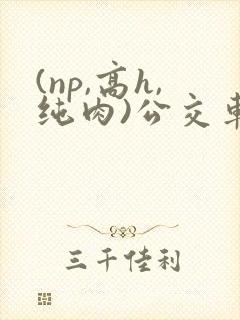 (np,高h,纯肉)公交车