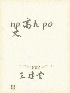 np高h po文