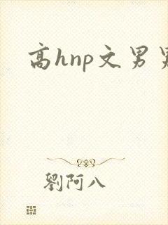 高hnp文男男