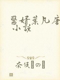 医婿叶凡唐若雪 小说