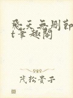 飞天无删节txt笔趣阁