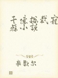 千亿总裁宠妻上瘾小说封面