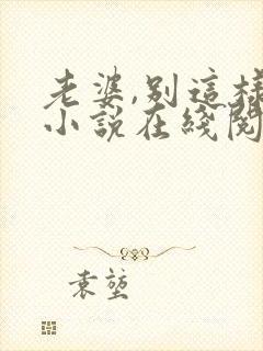 老婆,别这样 小说在线阅读