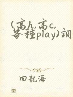(高h,高c,各种play)调教h文