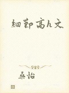 细节高h文