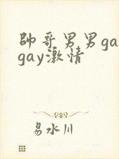 帅哥男男gaygay激情