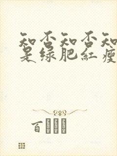 知否知否知否应是绿肥红瘦什么花
