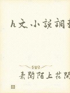 h文小说调教文