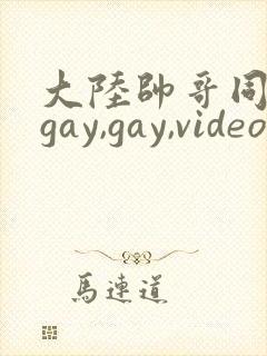 大陆帅哥同性恋gay,gay,videos