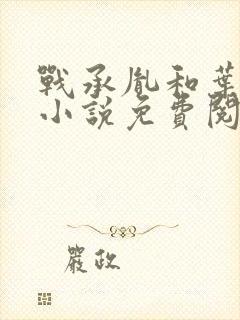 战承胤和叶苜苜小说免费阅读