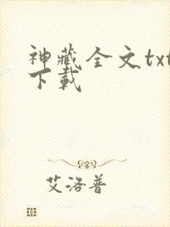 神藏全文txt下载封面