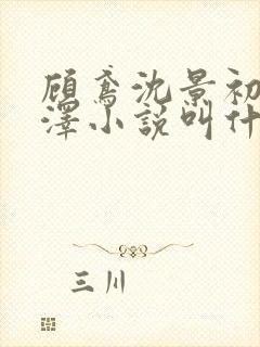 顾鸢沈景初徐承泽小说叫什么名字封面