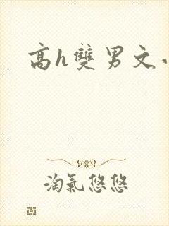 高h双男文小说