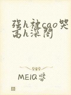 强h被cao哭高h深闺