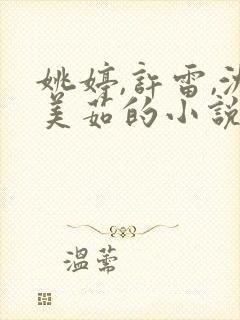 姚婷,许雷,沈美茹的小说