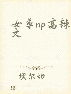 女尊np高辣h文