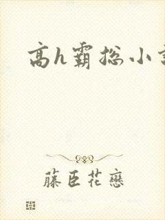 高h霸总小说