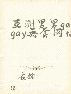 亚洲男男gaygay无套网站