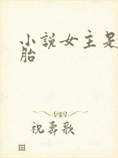 小说女主是双胞胎
