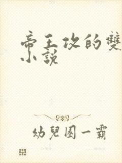 帝王攻的双男主小说封面