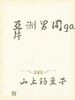 亚洲男同gay片封面