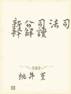 新公司法司法解释解读