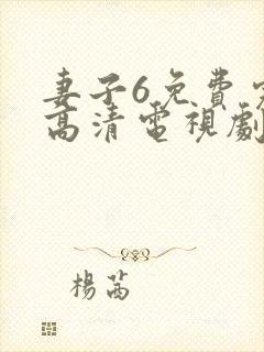 妻子6免费完整高清电视剧在线看封面