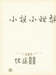 小说小甜梨,