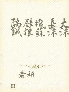 隔壁机长大叔是饿狼苏沫沫许庭川小说封面