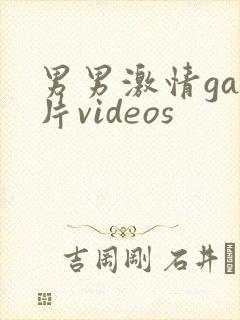 男男激情gay片videos