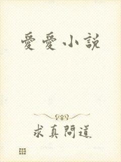 爱爱小说