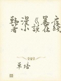 韩漫《暴夜》原著小说在线看