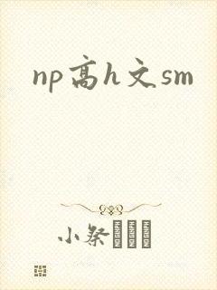 np高h文sm