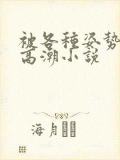 被各种姿势c到高潮小说