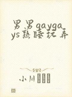 男男gaygays熟睡玩弄封面