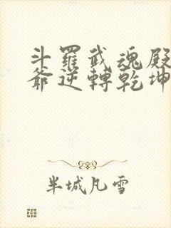斗罗武魂殿二大爷逆转乾坤