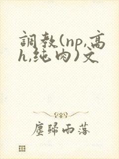 调教(np,高h,纯肉)文