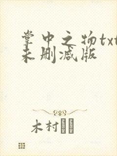 掌中之物txt未删减版