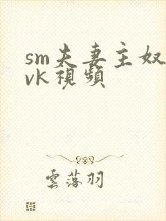 sm夫妻主奴一vk视频