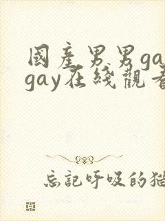 国产男男gaygay在线观看