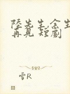 陆先生,余生不再见 短剧