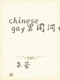 chinese gay男同网站