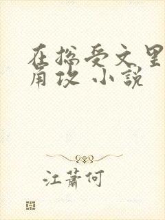 在总受文里抢主角攻 小说