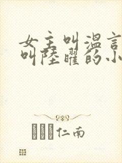 女主叫温言男主叫陆曜的小说