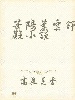 萧阳叶云舒龙王殿小说封面