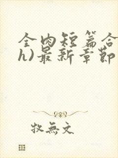 全肉短篇合集(h)最新章节列表