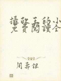 摄政王的小闲妻免费阅读全文