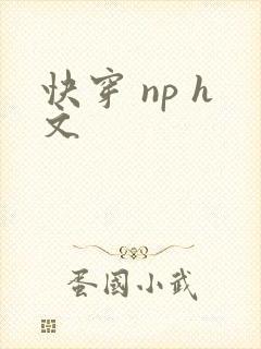快穿 np h文
